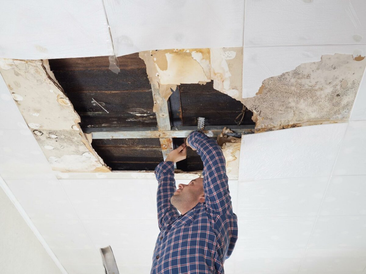 Skimmelsvampe vokser nogle gange skjult i konstruktionen, andre gange synligt. Realdania-projekt viser, at man med renovering og ventilering kan bekæmpe de sundhedsskadelige svampe. Foto: Getty Images.