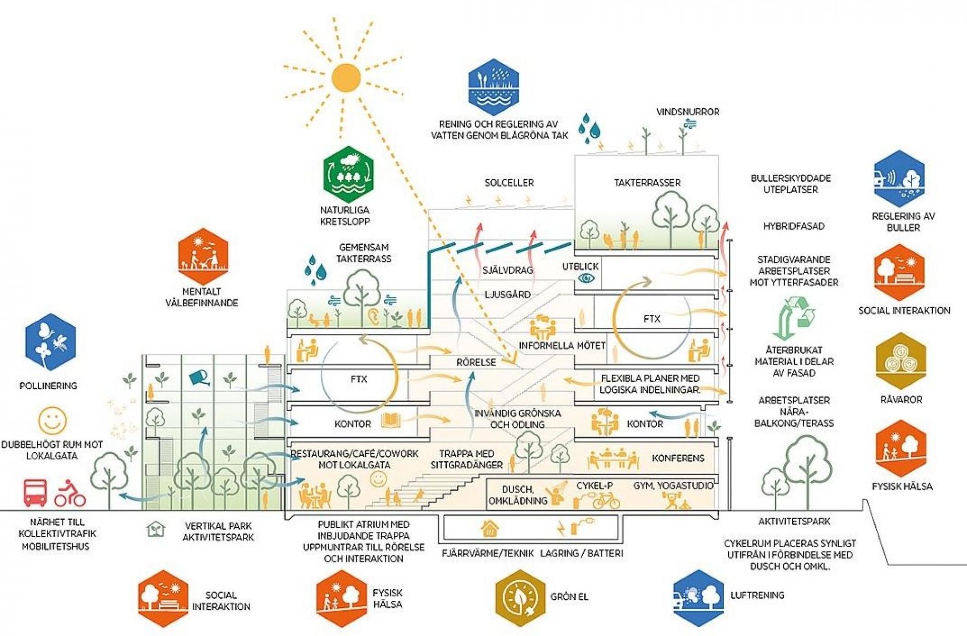 Der er tænkt over både biodiversitet, medarbejdertrivsel, indeklima, grøn el og meget andet i byggeriet af den nye kontorbygning. Illustration: C.F. Møller Architects