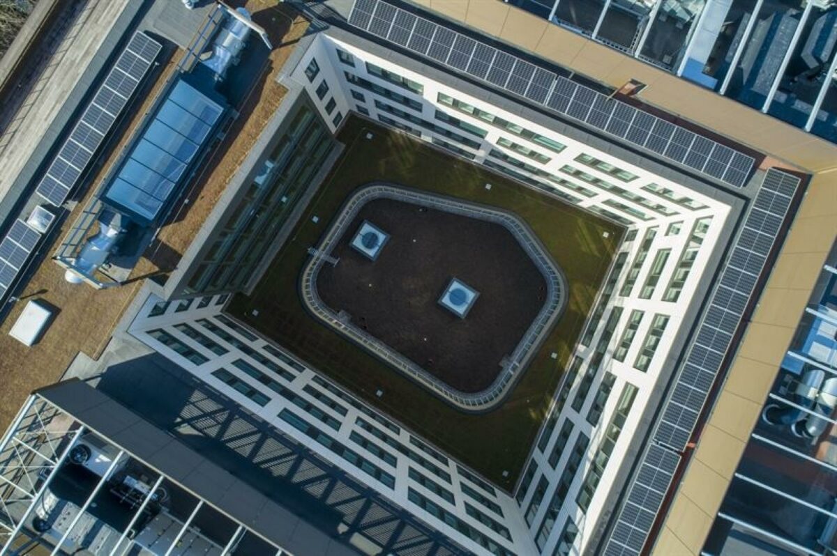 Den centrale atriumgård er udformet, så den giver lys til kontormiljøerne på alle etager. Bygningen er på næsten 13.000 kvm. Foto: Jonathan Grevsen