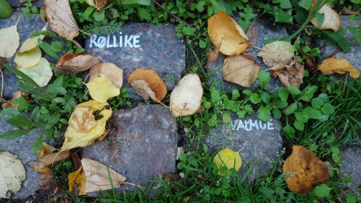 En fortovshave kan være med til at booste biodiversiteten i byerne. Torben Dam