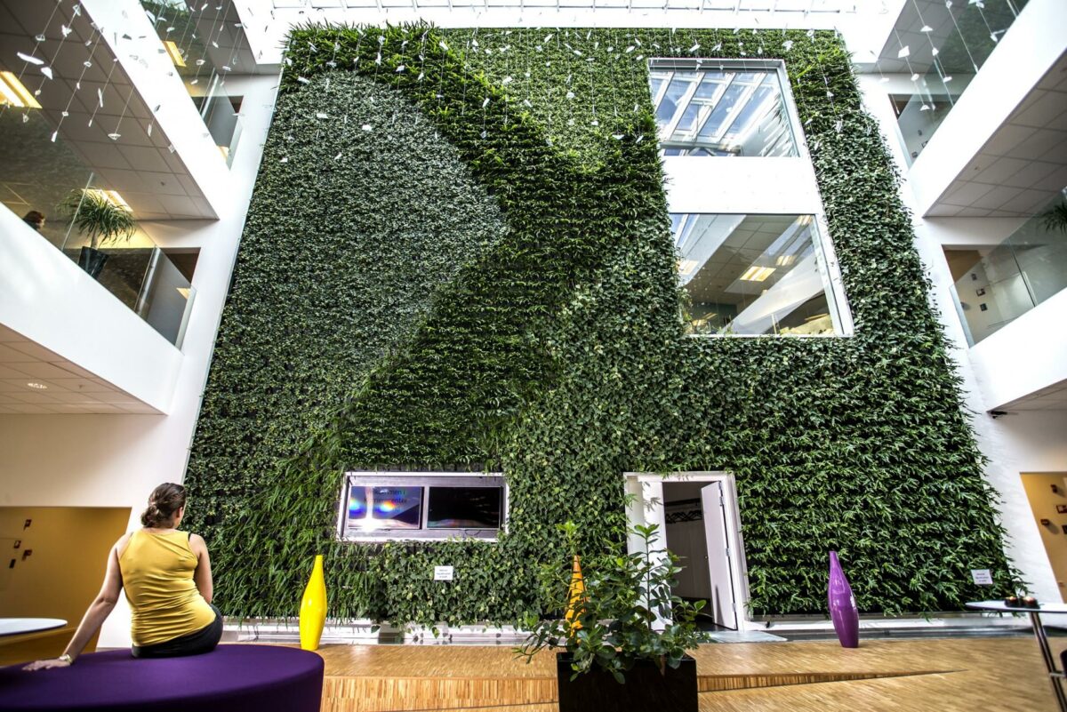 Her ses en 122 kvadratmeter plantevæg hos Krifa i Aarhus. Bag opbygningen står danske Natural Greenwalls, som netop har fået hul på det australske marked. Foto: Natural Greenwalls.