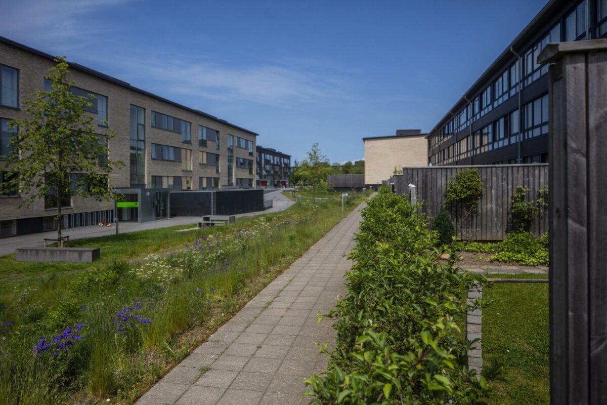 Projektet omfatter helhedsplan, facaderenovering og lejlighedsombygninger af ca. 750 almene boliger. Foto: Carsten Ingemann.