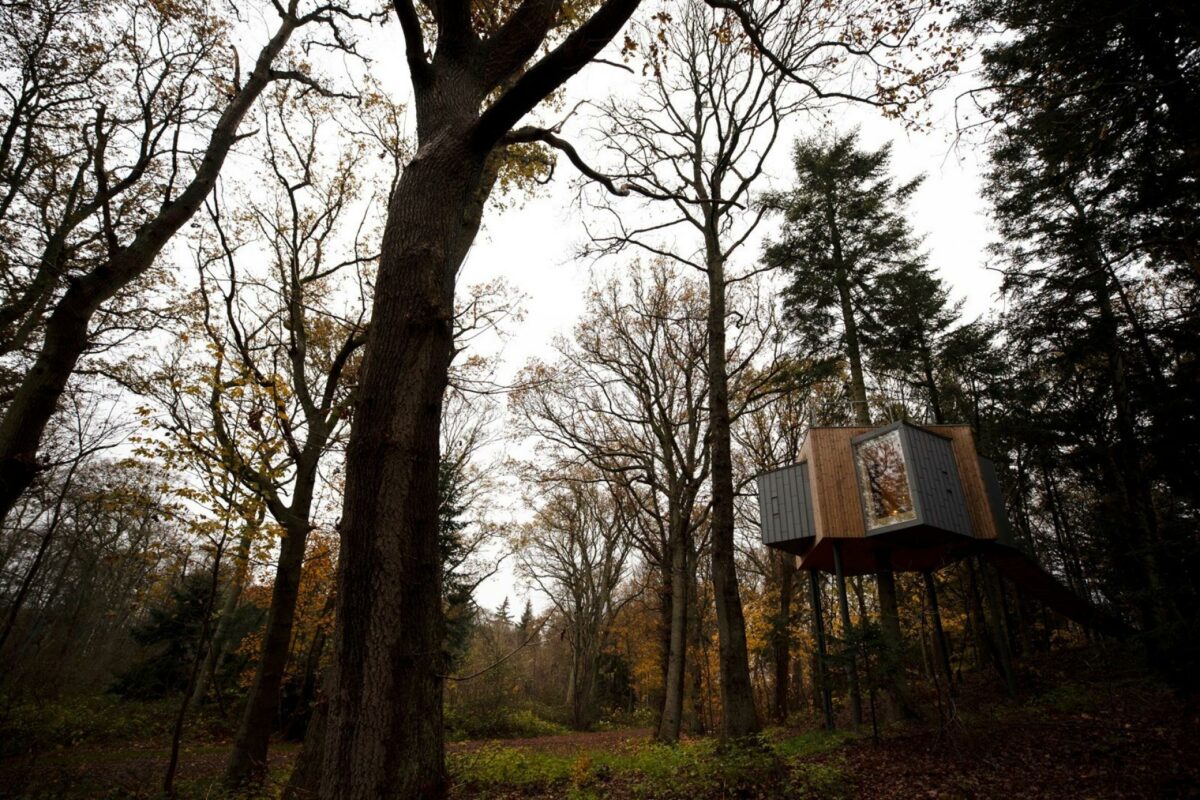 To mere af disse kommer snart til at stå i skoven ved Als Odde i Nordjylland. Foto: Løvtag.