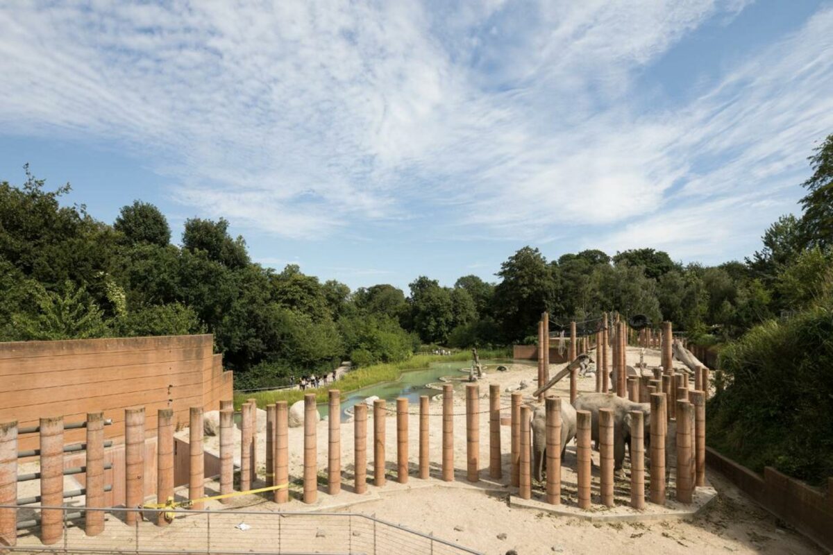 Beton kommer i mange afskygninger. Her er det pladsstøbte konstruktioner i Elefanthuset i Zoo. Foto: Torben Eskerod.