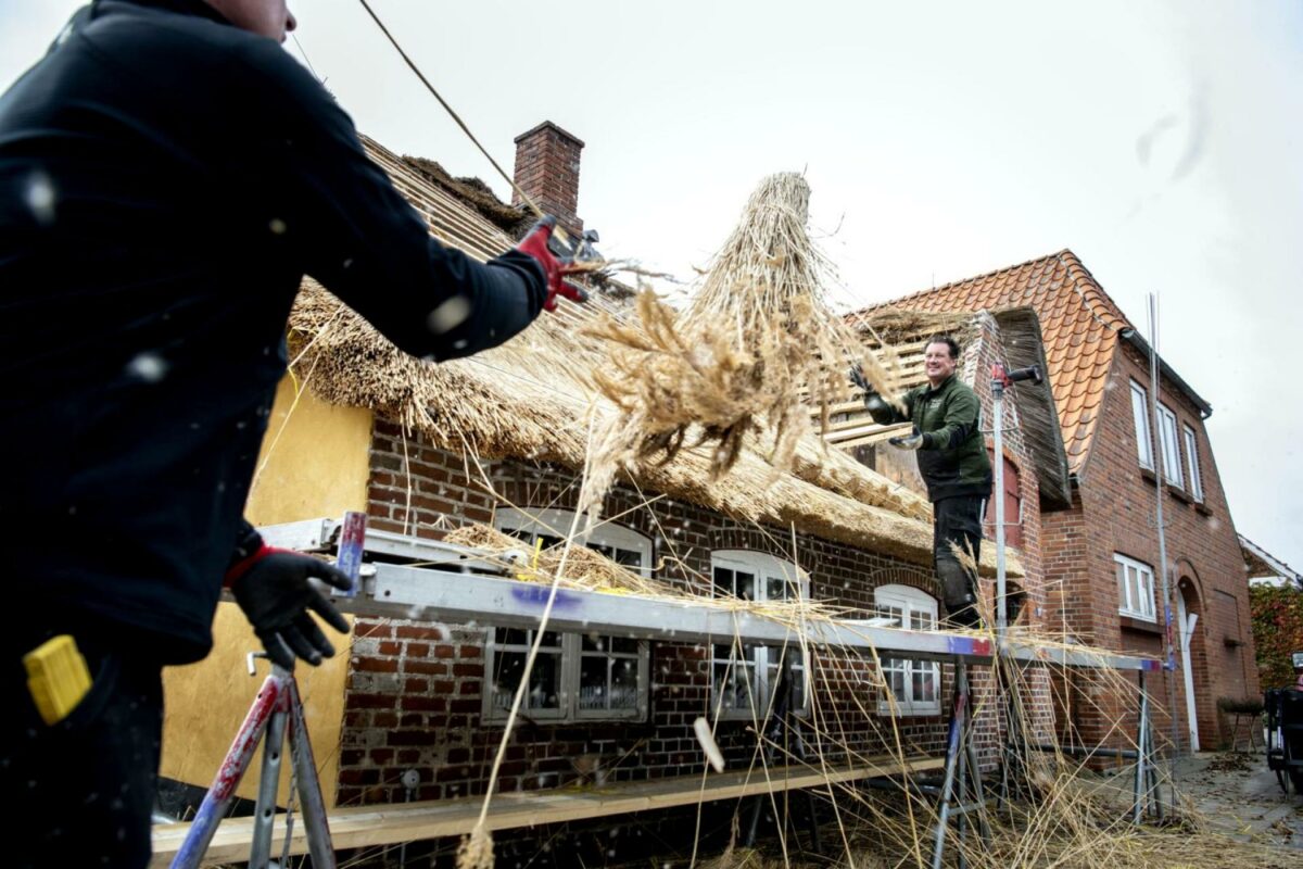 Tækkemænd har travlt i Højer som følge af Tøndermarsk Initiativet.