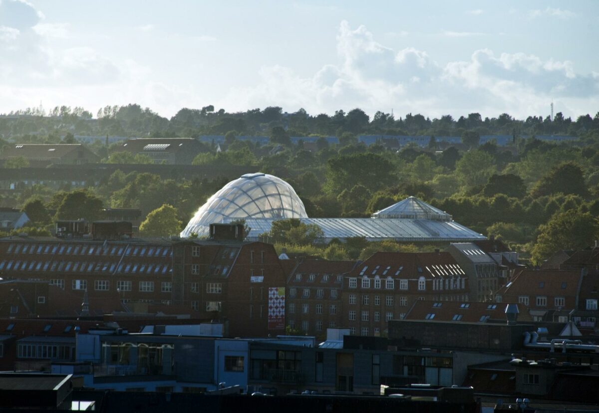 C.F. Møllers har stået for restaureringen og transformationen af det oprindelige drivhus i Botanisk Have i Århus, som tegnestuen også slog stregerne til i 1970, samt udvidelsen i form af et nyt, tropisk drivhus. Foto: Julian Weyer.