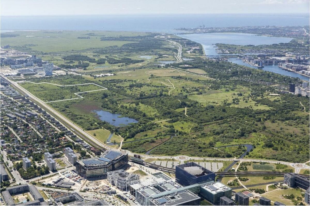 Der er delte meninger om, hvorvidt en delvis bebyggelse af Amager Fælled er en god ide. Foto: By & Havn.