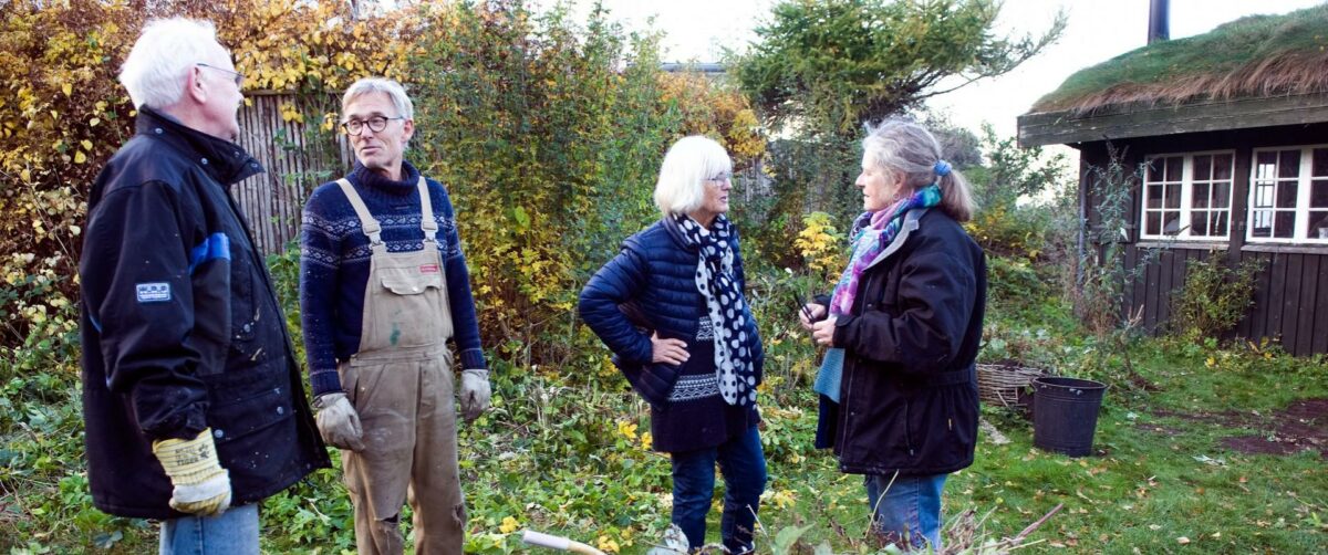 Sammen med Realdania vil PFA bygge sit første seniorbofællesskab i Horsens. Foto: Leif Tuxen.