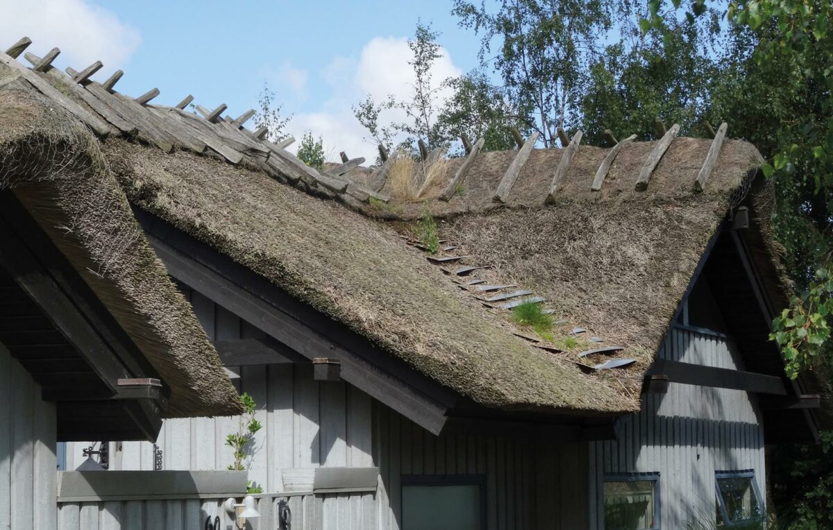 Dette stråtag har en hældning på 30 grader. Ifølge Byg-Erfa skal et stråtækket tag have en hældning på mindst 45 grader for at kunne forblive tørt og sundt. Foto: Byg-Erfa.