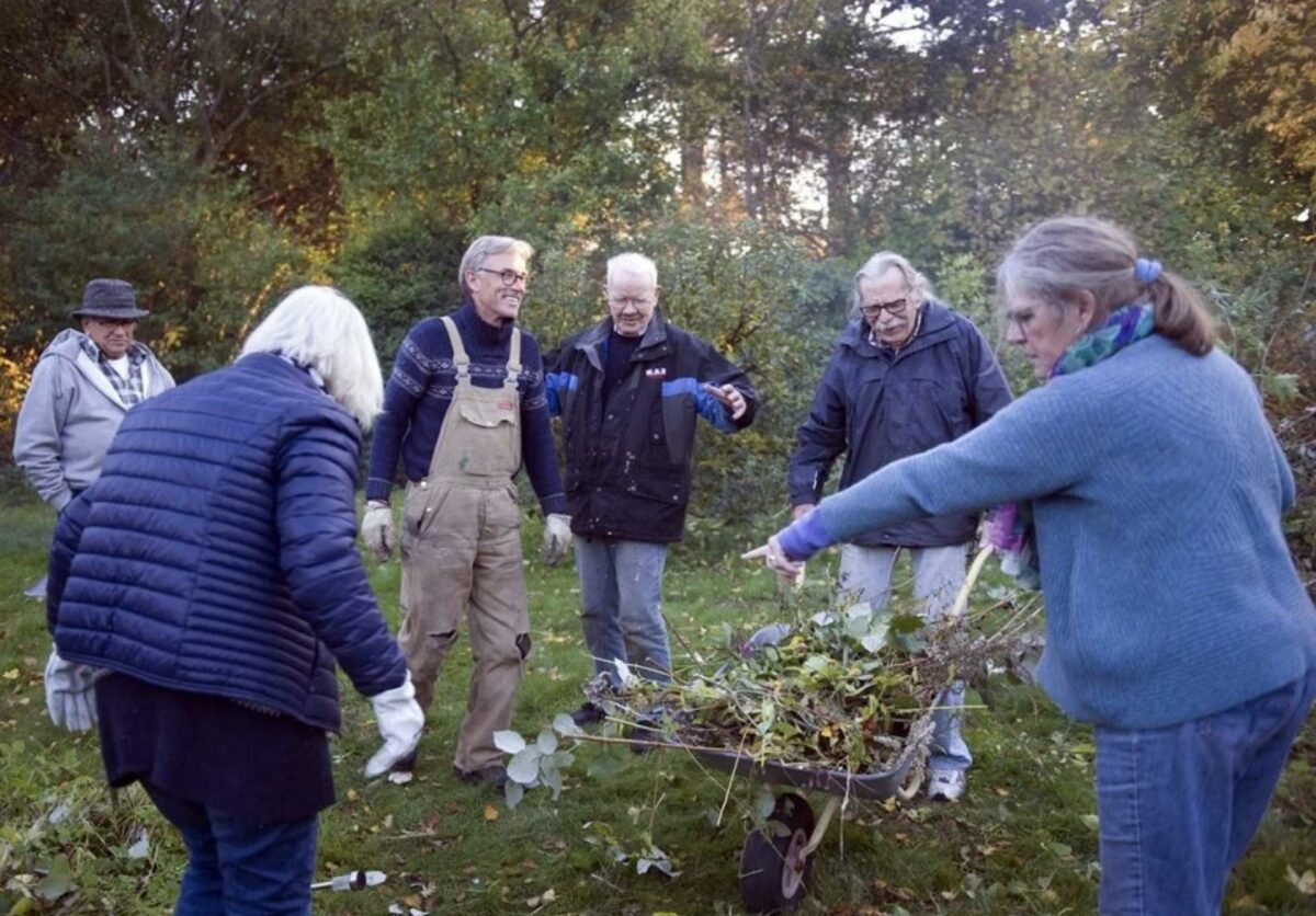 Langt flere ældre har fået mulighed for en bolig, hvor antallet af egne kvadratmeter er mindre, men hvor fællesskab og samvær med andre seniorer er større. Foto: Realdania.