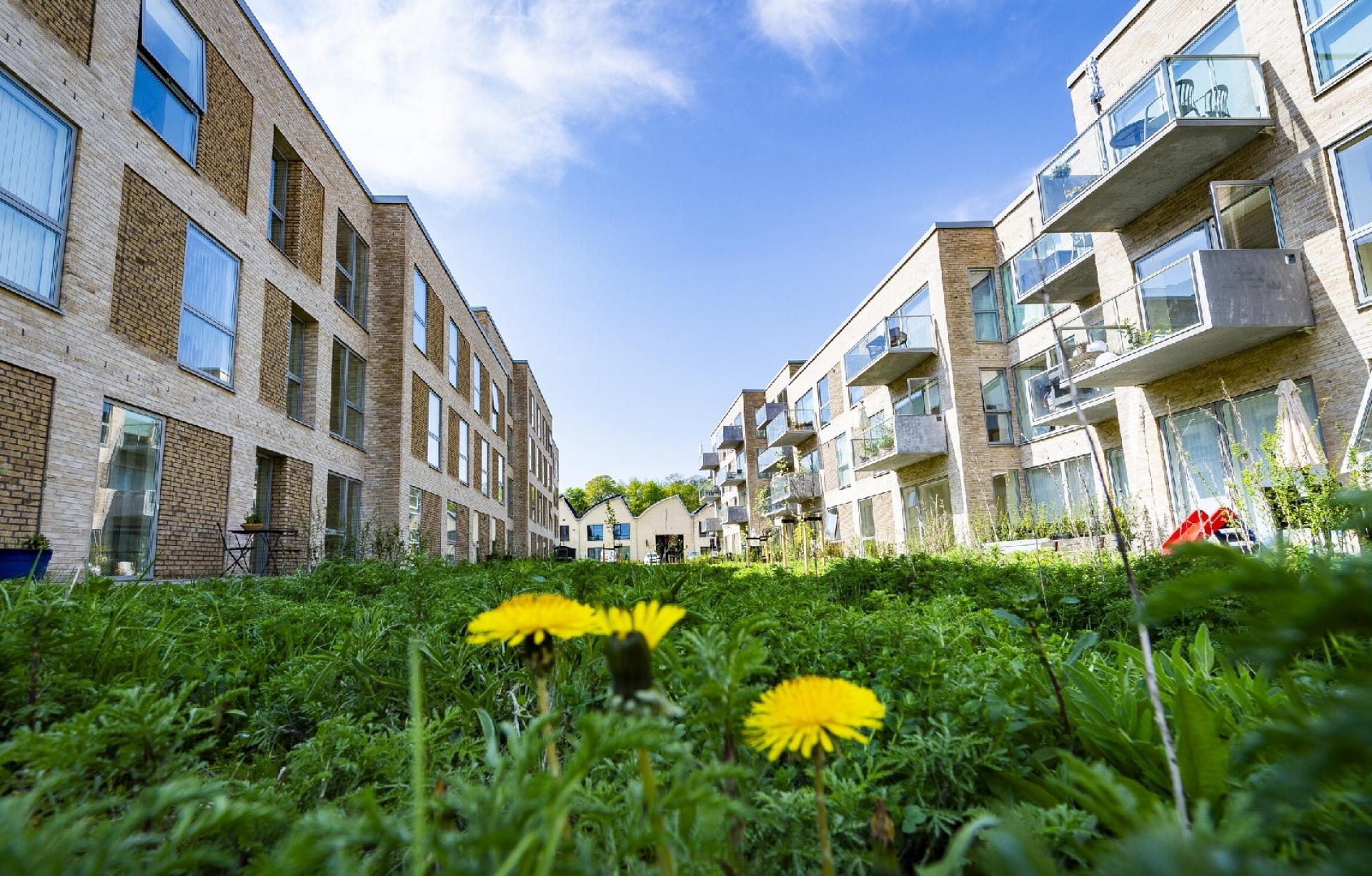 Foråret er for alvor kommet til Dalum Papirfabrik de grønne kiler er begyndt at tegne sig. Foto: MT Højgaard Property Development