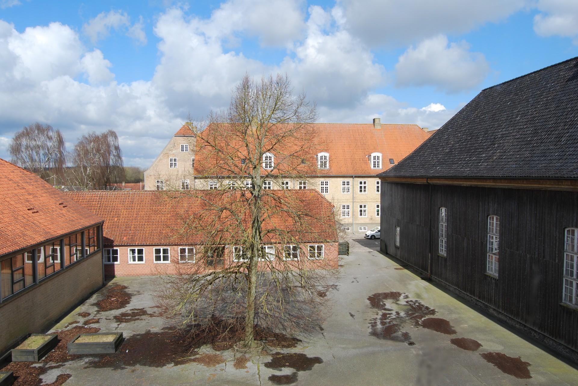 En del af opgaven er også at indrette den gamle skolegård til et grønt fællesområde. Pressefoto.