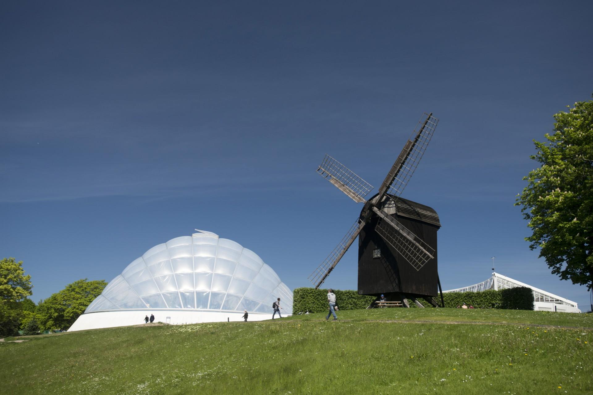 Væksthuset i Botanisk Have ved Aarhus Universitet er blevet udråbt som vinder af The International Architecture Award 2016. Foto: Julian Weyer.