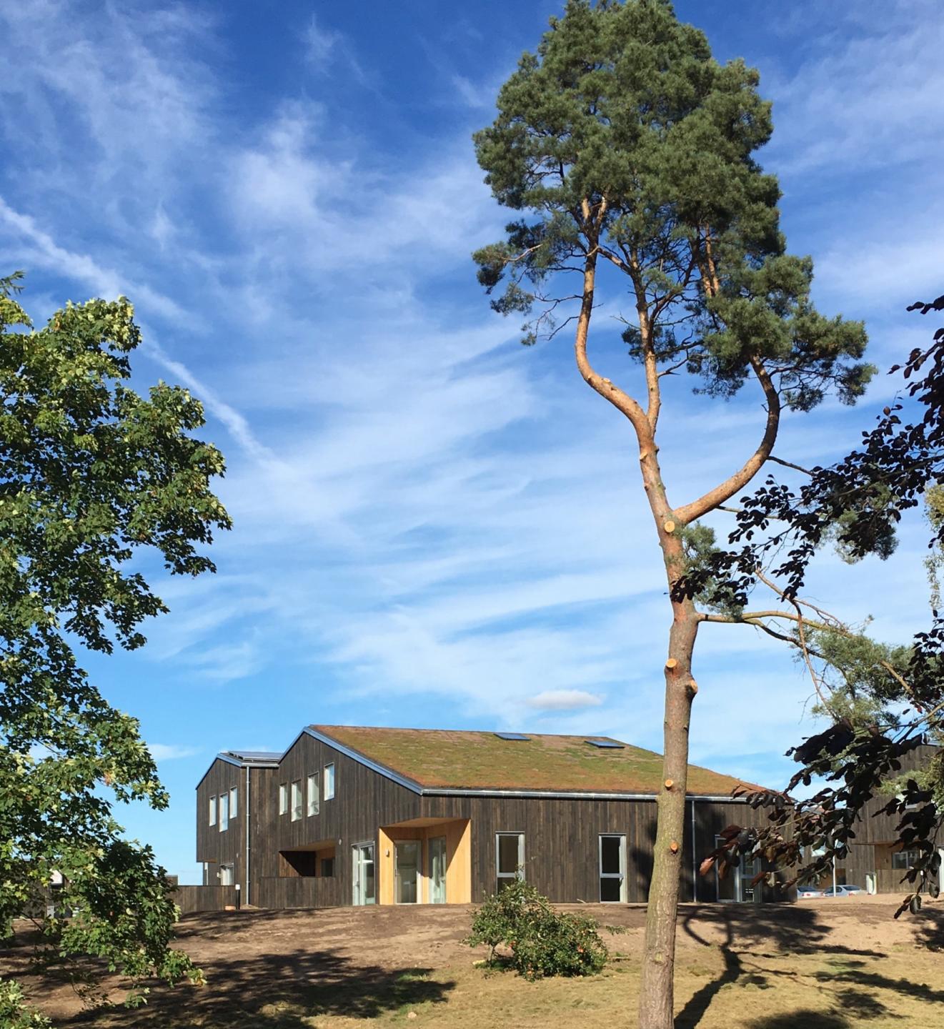 En forkærlighed for træ er en selvfølge, når man vinder Danish Wood Award 2016. Foto: ONV Arkitekter.